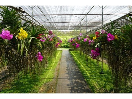 Tour Thailandia del Nord Chiang Mai e Chiang Rai 4 giorni 3 notti