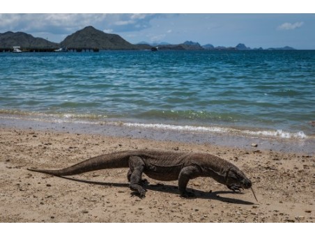 Tour Indonesia - Bali - Labuan Bajo - Komodo - Bali - 12 giorni 11 notti