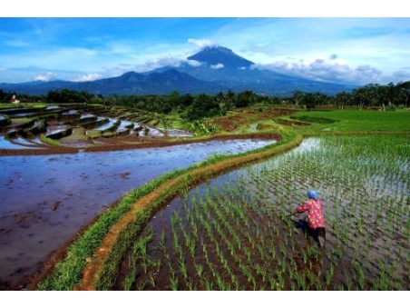 Tour Indonesia - Java - Bali - 12 giorni 11 notti