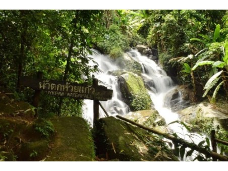 Tour Chiang Mai and Nature 4 giorni 3 notti