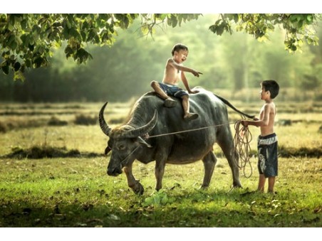 Tour Thailandia Street and Nature 8 giorni 7 notti