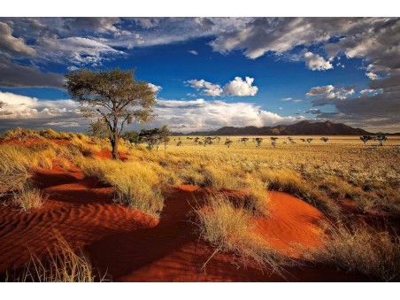 Autentica Namibia in adventure camp con il Diamante