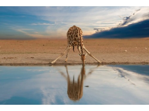 Autentica Namibia in adventure camp con il Diamante
