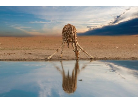 Autentica Namibia in adventure camp con il Diamante