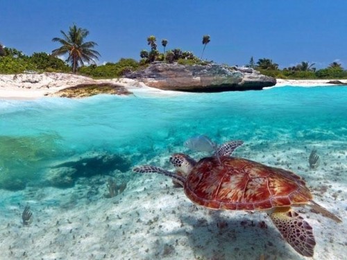 Dongwe Club Zanzibar con i Grandi Viaggi