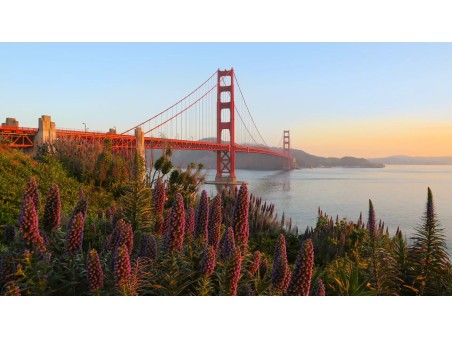 Northern California Charm con Quality Group