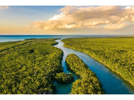 Florida Sun, 12 giorni 10 notti con i Grandi Viaggi